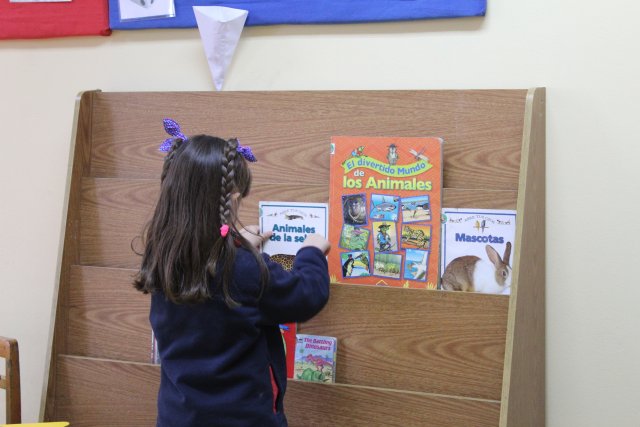 WEB NSDC 2022 - Biblioteca en aula 10