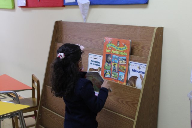 WEB NSDC 2022 - Biblioteca en aula 11