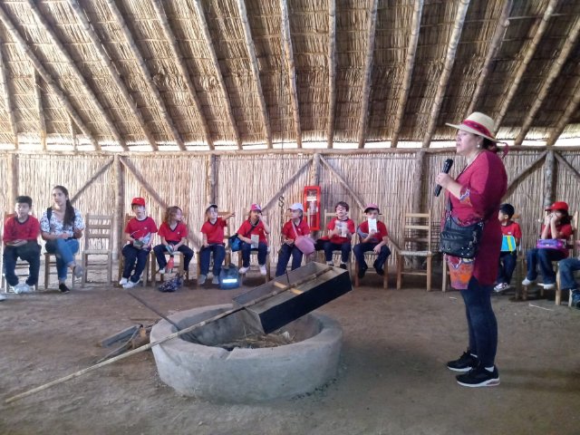 Proyecto Pueblos Originarios 2° Básicos Colegio Nsdc