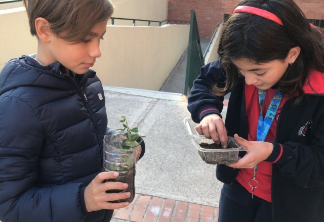 WEB NSDC 2023 - Proyecto Interdisciplinario 4° Básicos, 1° Parte - C08