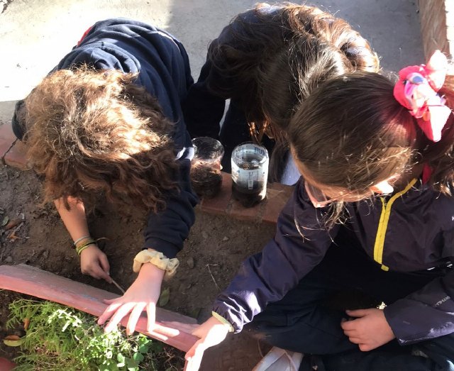 WEB NSDC 2023 - Proyecto Interdisciplinario 4° Básicos, 1° Parte - C09