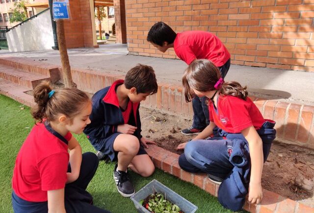 WEB NSDC 2023 - Proyecto Interdisciplinario 4° Básicos, 1° Parte - C13