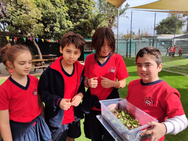 WEB NSDC 2023 - Proyecto Interdisciplinario 4° Básicos, 1° Parte - C16