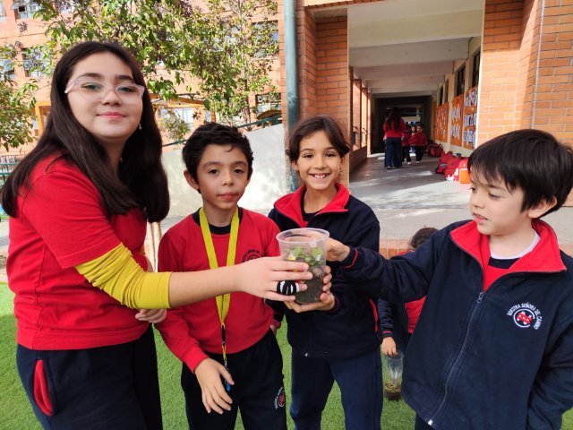 WEB NSDC 2023 - Proyecto Interdisciplinario 4° Básicos, 1° Parte - C17