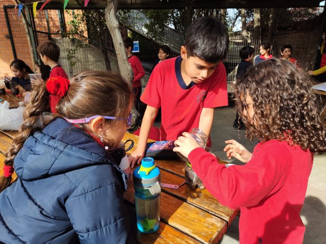 WEB NSDC 2023 - Proyecto Interdisciplinario 4° Básicos, 1° Parte - C20