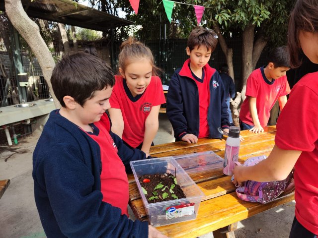 WEB NSDC 2023 - Proyecto Interdisciplinario 4° Básicos, 1° Parte - C24