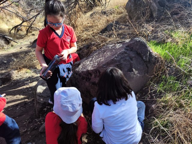 WEB NSDC 2023 - Proyecto Interdisciplinario 4° Básicos 1° Parte - Salida Parque Mahuida - 34