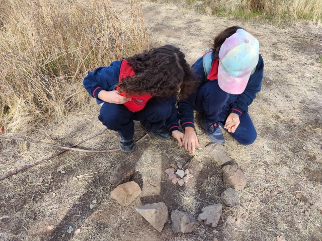 WEB NSDC 2023 - Proyecto Interdisciplinario 4° Básicos 1° Parte - Salida Parque Mahuida - 44