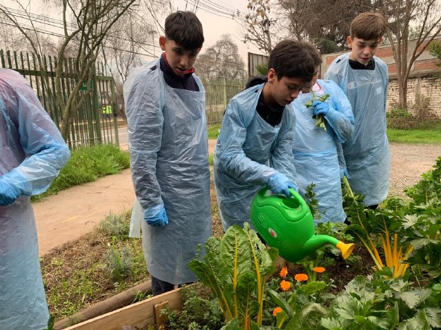 WEB NSDC 2023 - 7° Básico B - Apostolado de los 7° Básicos - Fundación Cerro Navia Joven 17