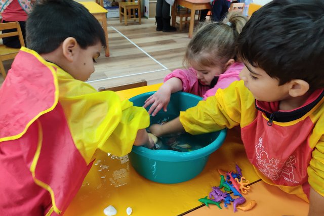 NSDC 2024 - Caminantes en el Mes del Mar