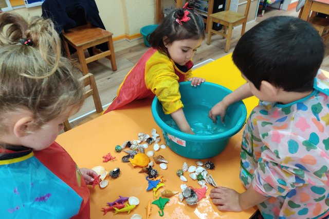 NSDC 2024 - Caminantes en el Mes del Mar