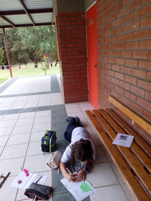 NSDC-2025-ENCCNCRISTO5°-05