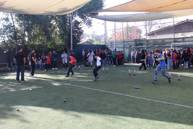Eco-Olimpiadas