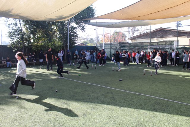 Eco-Olimpiadas