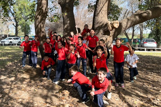 2025%NSDC&ECCS3°B-B-18