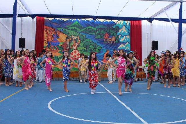 NSDC&2025LC&2°C&509