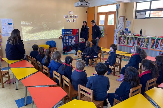 NSDC25%TDSDDGEAETLC01