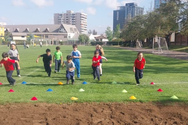 NSDC&2025%SDANSDCODCYA11