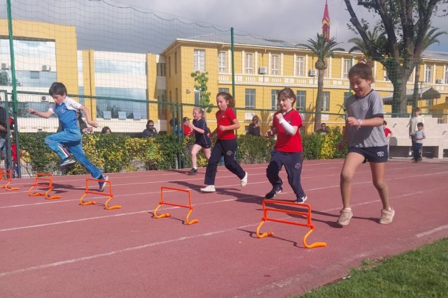 NSDC&2025%SDANSDCODCYA12