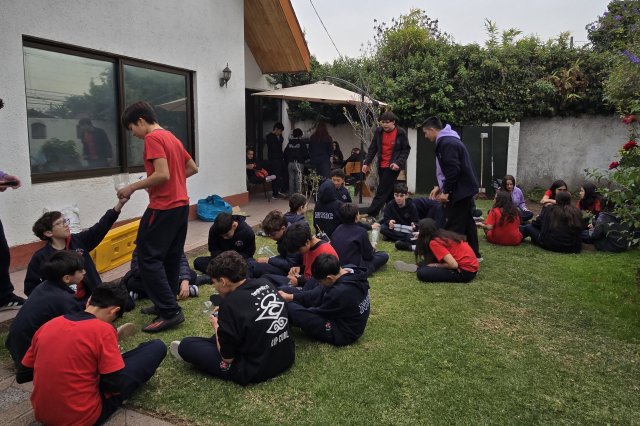 Taller Techo Colorido